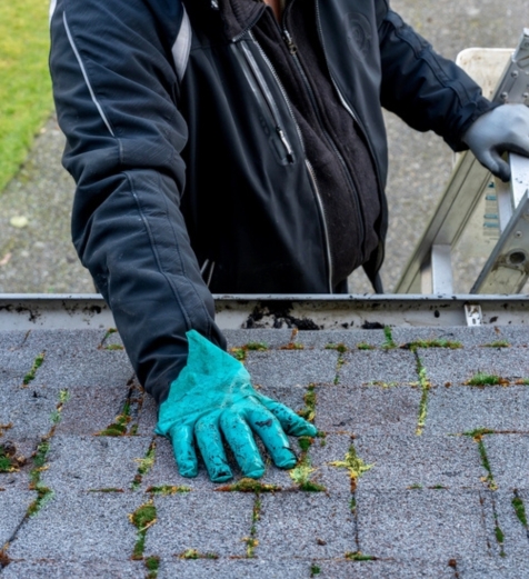roofer in gloves clearing moss and debris from asphalt shingles
