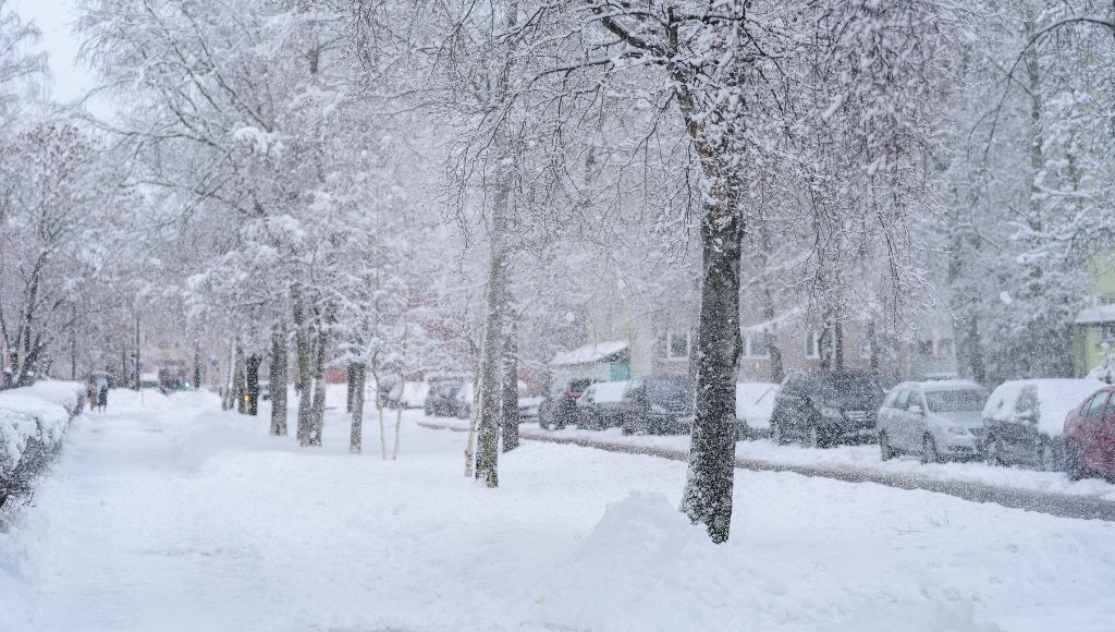 A snowy residential street in Central New York in winter. Cars and houses line the right side, trees and a side walk on the left side.