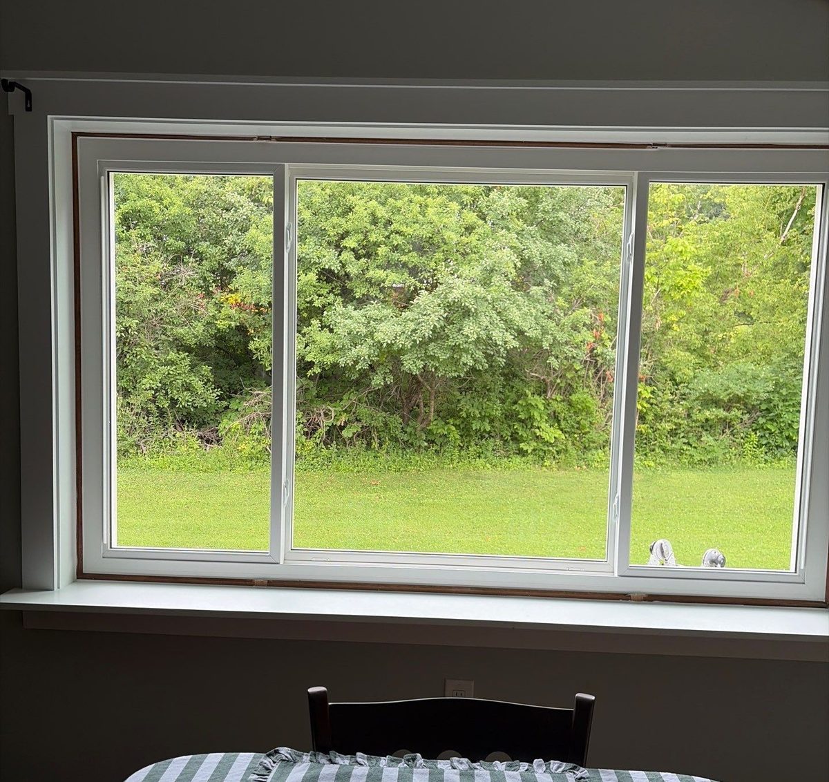Wide new white-framed window installed by Patriot, looking out on a green lawn and trees
